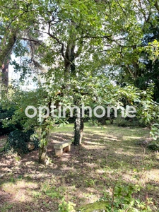Proche Fontainebleau et Barbizon - Maison contemporaine 223m2 