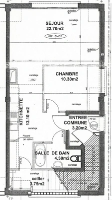 Appartement 2 pièces avec un petit jardin - CHAMPAGNE SUR SEINE (77)
