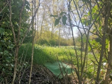 Maison Individuelle terrain 44 ares