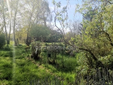 Maison Individuelle terrain 44 ares