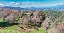 TERRAIN CONSTRUCTIBLE 1984 m2 à RAPALE