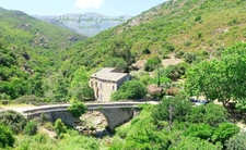 Ancien Moulin en Pierre avec dépendances sur près de 2,3 hectares – Santo-Pietro-di-Tenda