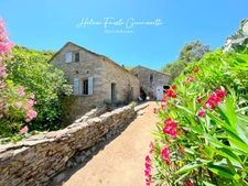 Ancien Moulin en Pierre avec dépendances sur près de 2,3 hectares – Santo-Pietro-di-Tenda
