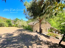 Ancien Moulin en Pierre avec dépendances sur près de 2,3 hectares – Santo-Pietro-di-Tenda