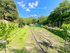 OMESSA – PROPRIETE D’EXCEPTION DE 133 m² SUR 4 403 M² DE TERRAIN AVEC VUE PANORAMIQUE SUR LES MONTAGNES