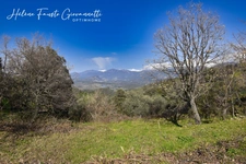 TERRAIN CONSTRUCTIBLE 1984 m2 à RAPALE