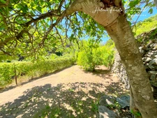 Ancien Moulin en Pierre avec dépendances sur près de 2,3 hectares – Santo-Pietro-di-Tenda