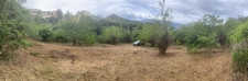 TERRAIN CONSTRUCTIBLE 3218 m2 à OLETTA
