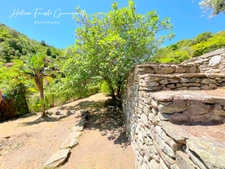 Ancien Moulin en Pierre avec dépendances sur près de 2,3 hectares – Santo-Pietro-di-Tenda