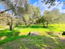 Villa 6 pièces avec piscine - Terrain 1,7 hectare  - OLETTA