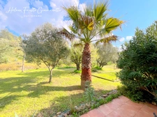 Villa 6 pièces avec piscine - Terrain 1,7 hectare  - OLETTA