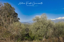 TERRAIN CONSTRUCTIBLE 1984 m2 à RAPALE