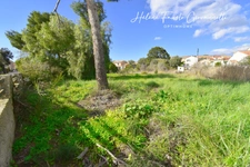 TERRAIN 567 m² -  SAINT FLORENT Centre