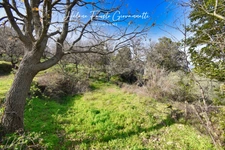 TERRAIN CONSTRUCTIBLE 1984 m2 à RAPALE