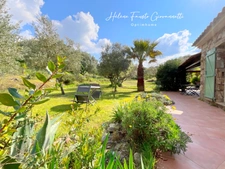 Villa 6 pièces avec piscine - Terrain 1,7 hectare  - OLETTA