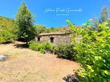 Ancien Moulin en Pierre avec dépendances sur près de 2,3 hectares – Santo-Pietro-di-Tenda