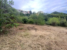 TERRAIN CONSTRUCTIBLE 3218 m2 à OLETTA