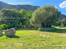 OMESSA – PROPRIETE D’EXCEPTION DE 133 m² SUR 4 403 M² DE TERRAIN AVEC VUE PANORAMIQUE SUR LES MONTAGNES