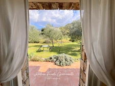 Villa 6 pièces avec piscine - Terrain 1,7 hectare  - OLETTA