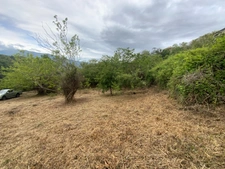 TERRAIN CONSTRUCTIBLE 3218 m2 à OLETTA