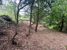 TERRAIN CONSTRUCTIBLE 3218 m2 à OLETTA