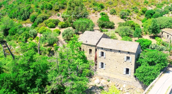 Ancien Moulin en Pierre avec dépendances sur près de 2,3 hectares – Santo-Pietro-di-Tenda