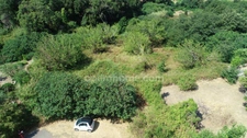 TERRAIN CONSTRUCTIBLE 3218 m2 à OLETTA