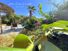 PATRIMONIO – Propriété de charme avec 5 logements, piscine et terrain de 1 440 m²