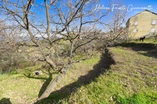 TERRAIN CONSTRUCTIBLE 1984 m2 à RAPALE