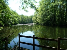 Dpt Aisne (02),  BAULNE EN BRIE à vendre superbe propriété de 380 m2 habitables sur un terrain de 15 ha avec étang de 3 ha   