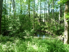 Dpt Aisne (02),  BAULNE EN BRIE à vendre superbe propriété de 380 m2 habitables sur un terrain de 15 ha avec étang de 3 ha   