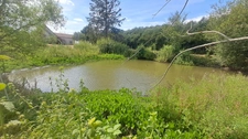  LE THOULT TROSNAY (51) à vendre superbe corps de ferme restauré sur un terrain clos de plus de 8600 m2 avec étang