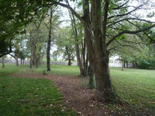 Dpt Seine et Marne (77), for sale near MEAUX superb property of 450 m2 on wooded land of 2 hectares