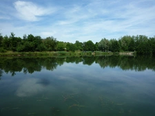 Chassemy (02) à vendre superbe propriété de 320 m2 sur un terrain  clos de 5 ha avec étang de 2 ha