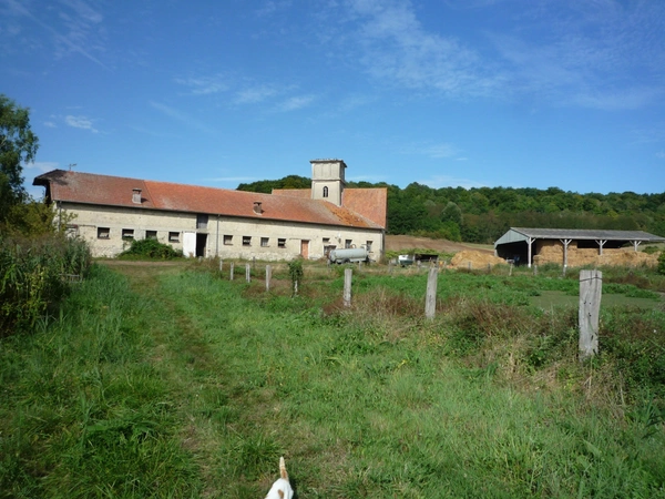 Dpt Aisne (02), à vendre COUCY LE CHATEAU AUFFRIQUE  superbe corps de ferme sur 17 hectares 