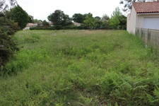 Terrain à vendre de 555 m² AUREILHAN (40)