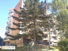 Appartement à louer 1 pièces CERGY (95)