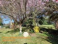 CHARENTE, VAL DE BONNIEURE, Maison sur sous-sol, 3 chambres, garage, terrain arboré 1457 m²