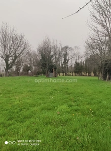 Commune de Mazerolles, L'Arbre. Beau terrain arboré avec CU de 1620 m²