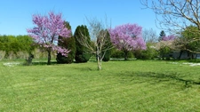 CHARENTE, COURCOME, maison 198 m², 4 chambres, grange, terrain 2401 m² clos 