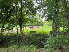 Maison avec grange à rénover CLEYRAC