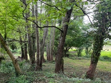 Maison avec grange à rénover CLEYRAC