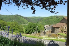 Maison à vendre avec de beaux volumes, à quelques minutes de Brousse-le-château (12)