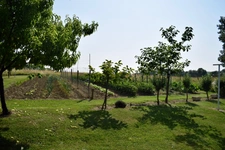 Lougratte (47 )Ancien corps de ferme – 2 logements – 1,22 ha – 600 m² de dépendances