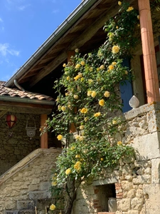 Maison à vendre 6 pièces MASSOULES (47)