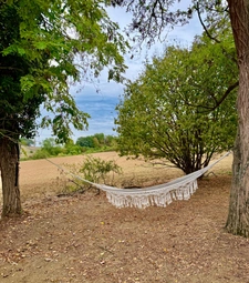 Propriété avec gîte de groupe, piscine et 1,4 hectare de terrain PINEL HAUTERIVE (47)
