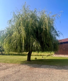 Lougratte (47 )Ancien corps de ferme – 2 logements – 1,22 ha – 600 m² de dépendances