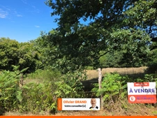 TERRAIN CONSTRUCTIBLE  + AGRICOLE - ENVIRONNEMENT CAMPAGNE