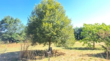 MAISON 5P + GARAGE + GRAND JARDIN - ENVIRONNEMENT CAMPAGNE