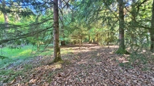 Terrain de loisir boisé 2.3Ha + Source - Proche Limoges
